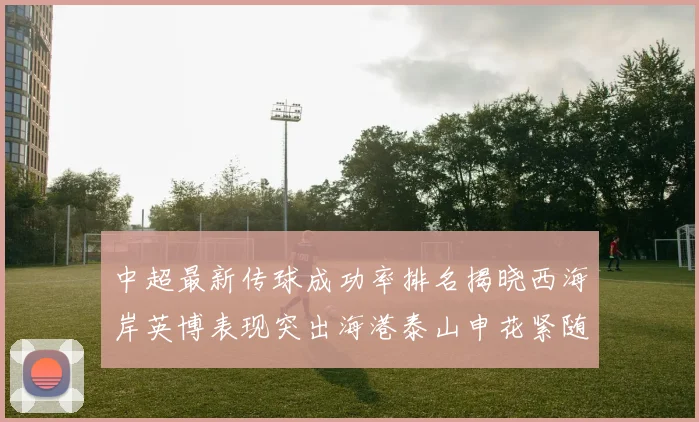 中超最新传球成功率排名揭晓西海岸英博表现突出海港泰山申花紧随其后